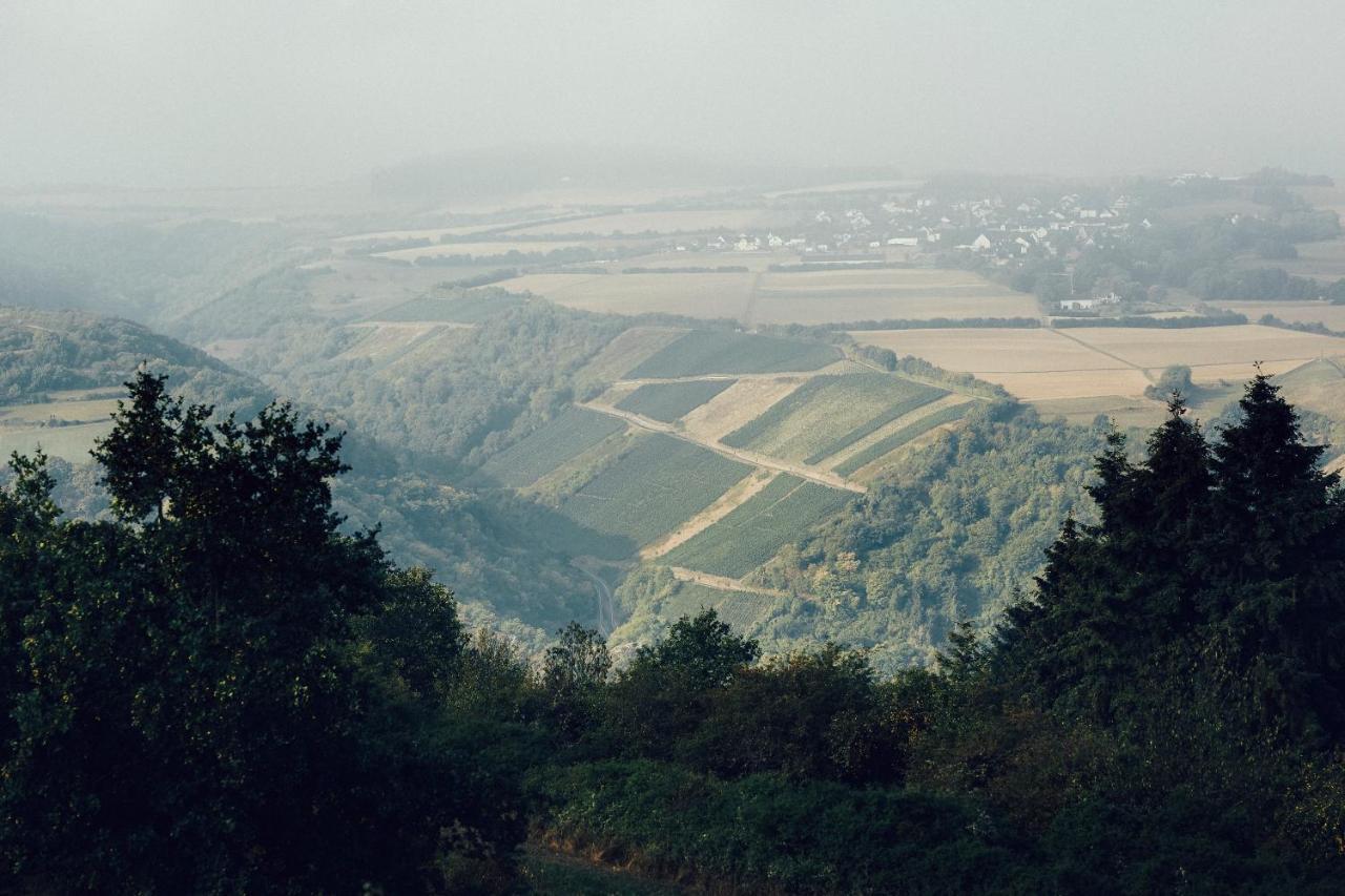 Fetz Das Loreley Hotel Dorscheid エクステリア 写真